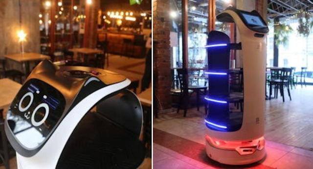 camarero robot